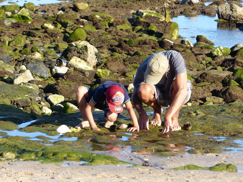 Gathering at the beach.