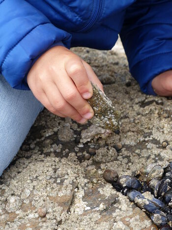 Hand ,Soil ,Nail.