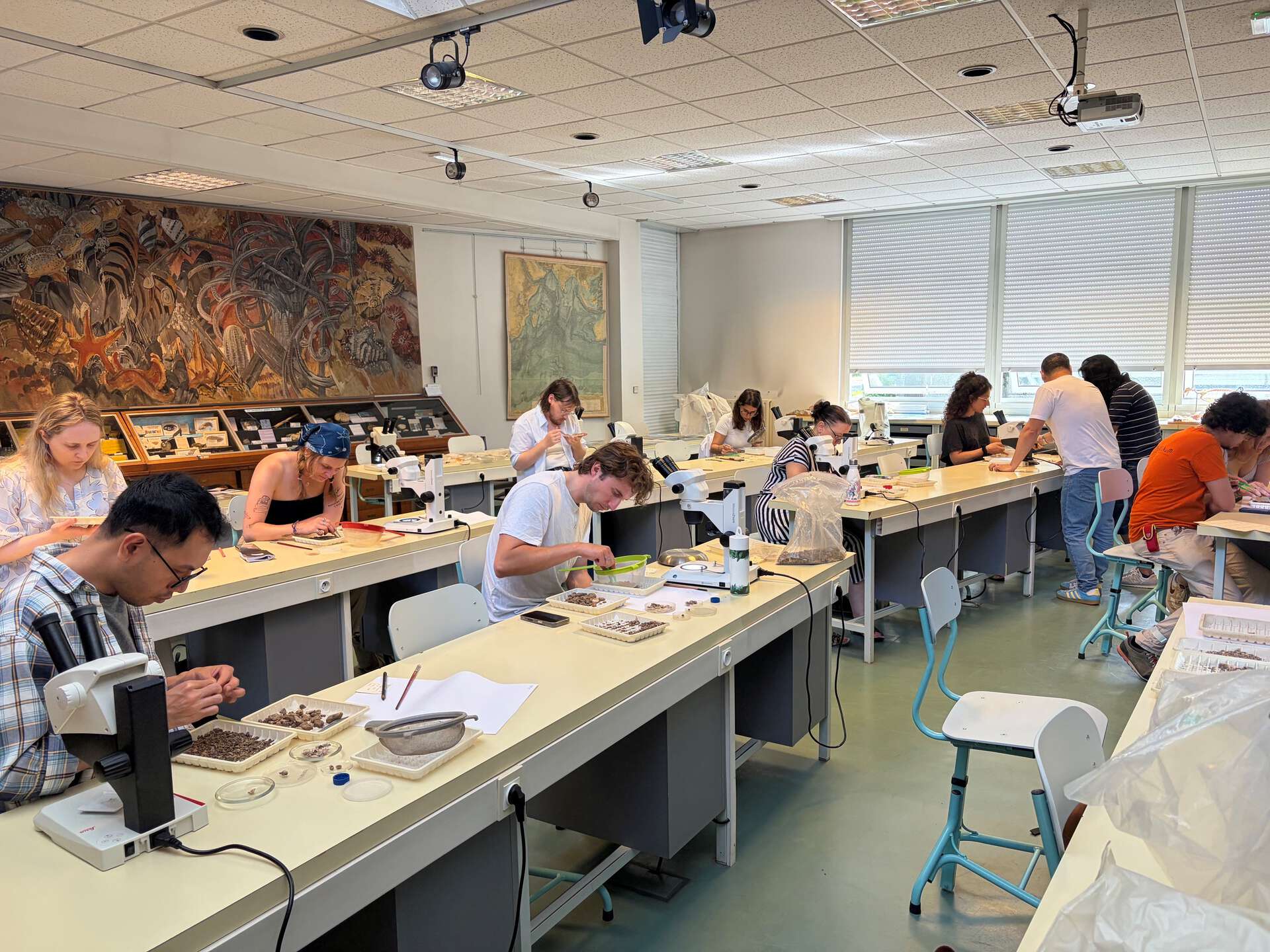 The PhD studentes are sitting at several long desks while analysing samples. 