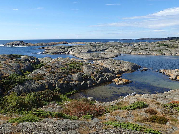 Coastal area.