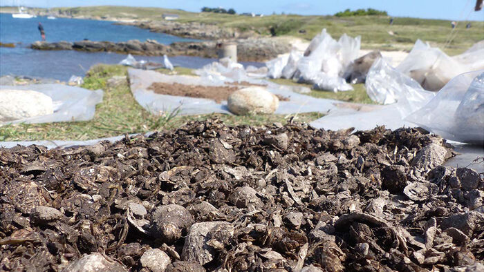 Coastal landscape with excavations and sea in the background